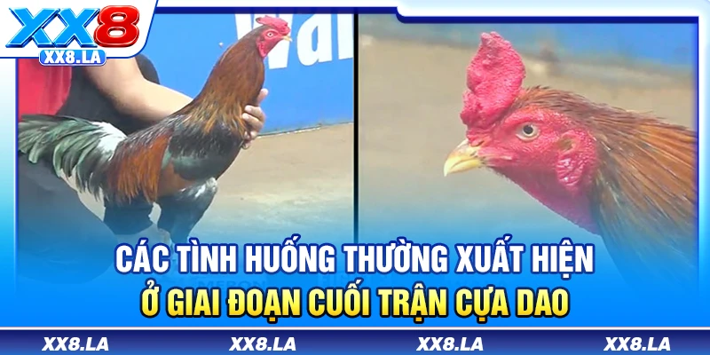Các tình huống thường xuất hiện ở giai đoạn cuối trận cựa dao